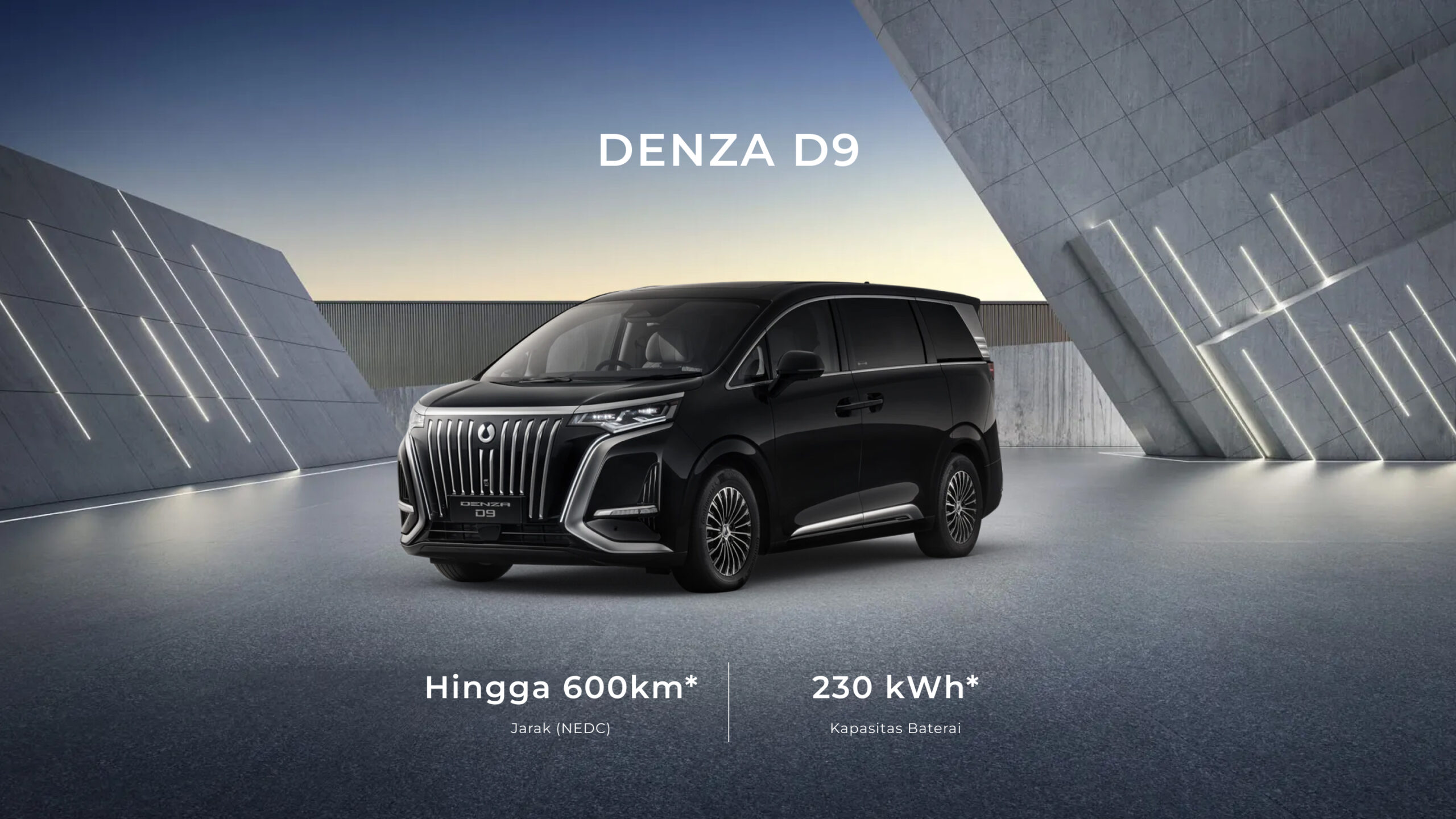 Denza D9