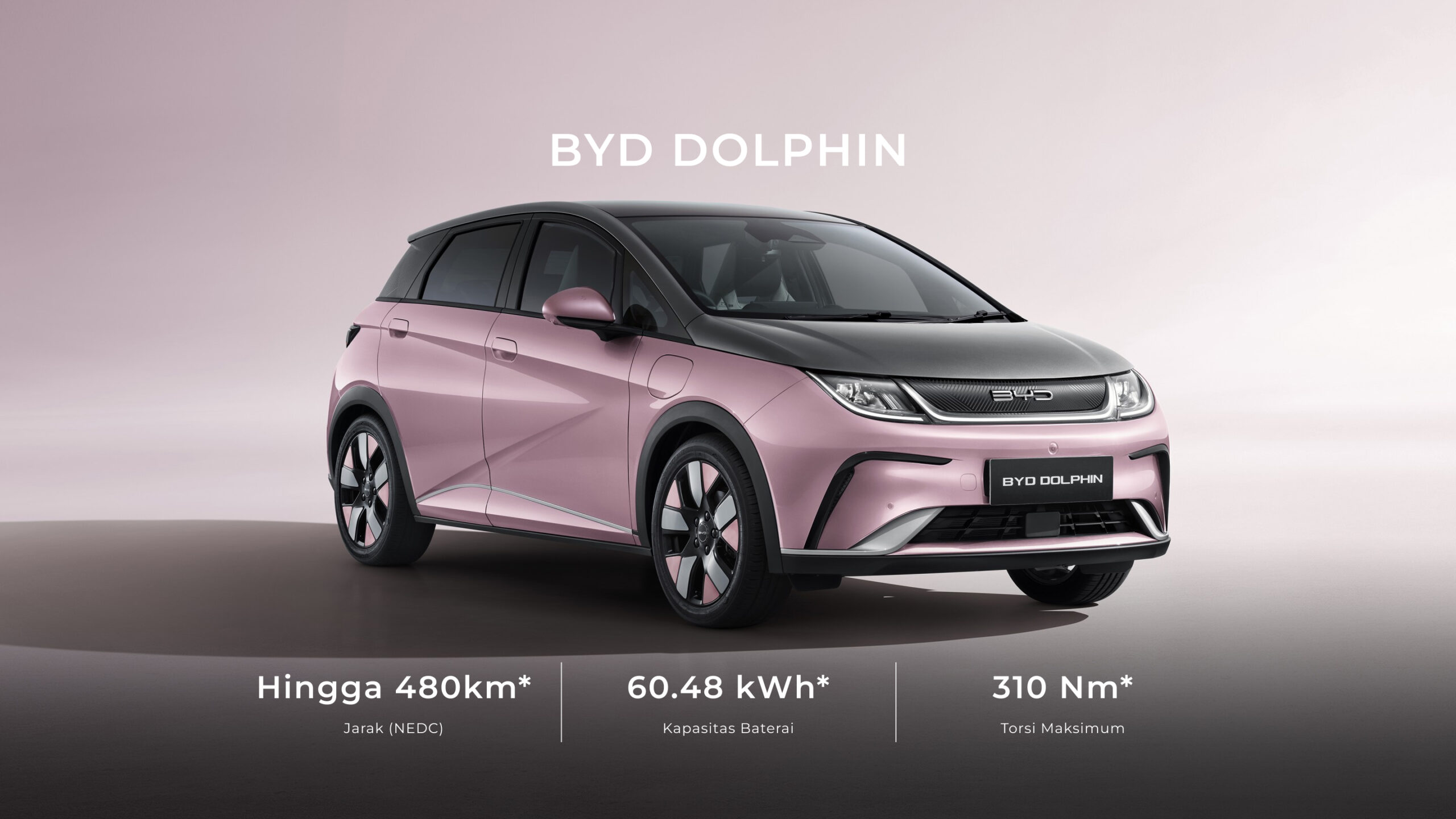 BYD DOLPHIN